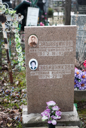 ЗАБАВНИКОВ Николай Николаевич